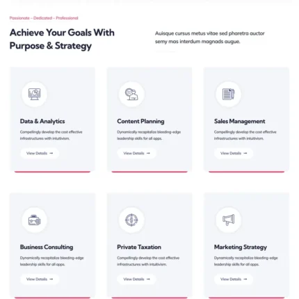 Business Website Design with Free VPS Web Hosting