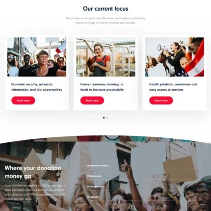 NGO Website Design with Free VPS Web Hosting
