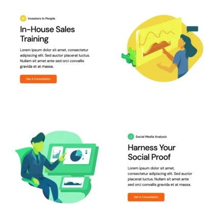 Marketing Consultant Website Design with Free VPS Web Hosting