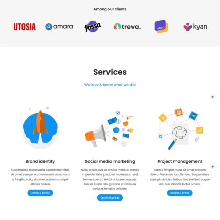 Digital Company Website Design with Free VPS Web Hosting