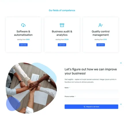 Business Advisors Website Design with Free VPS Web Hosting