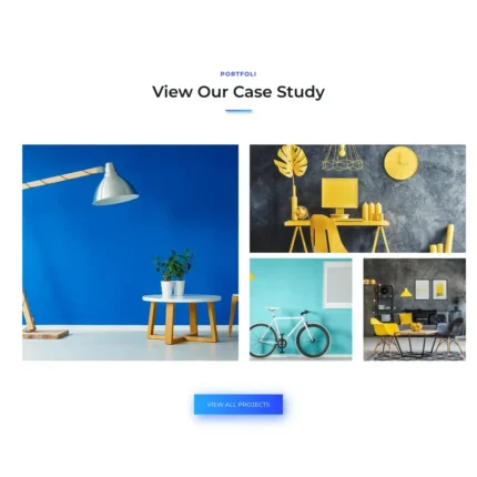 Online Marketing Website Design with Free VPS Web Hosting