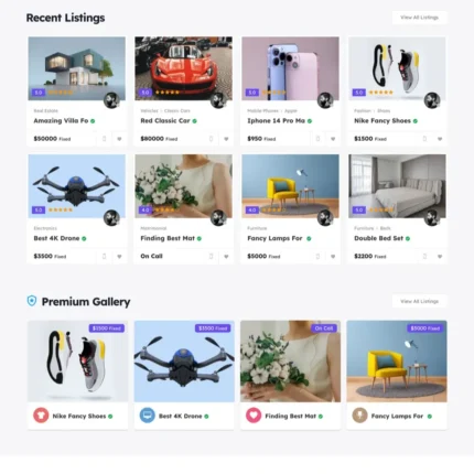 Classified Platform Website Design with Free Web Hosting