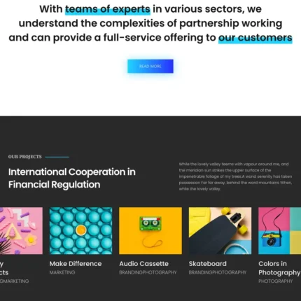 Corporate Agency Website Design with Free VPS Web Hosting