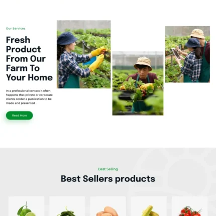 Farm Shop Website Design with Free VPS Web Hosting